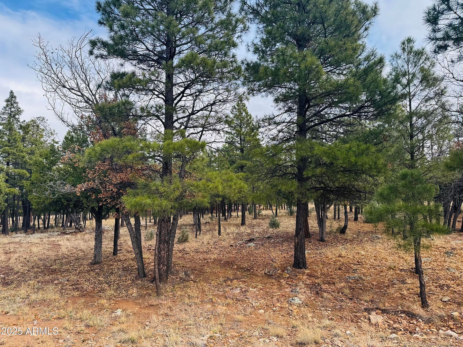 2793 Hummingbird Cir #159 Happy Jack, AZ 86024 - Thumbnail 5