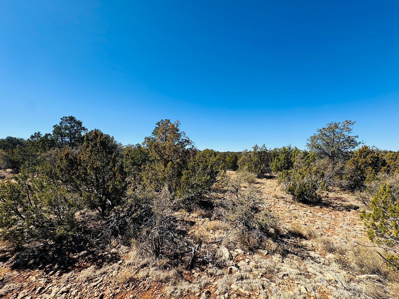 4108 Sunset Ridge Loop Happy Jack, AZ 86024 - Thumbnail 5