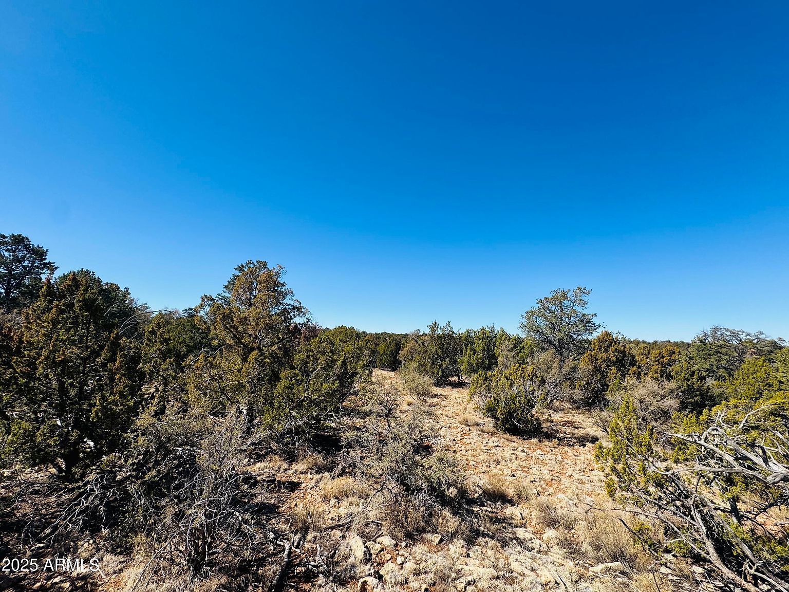 4108 Sunset Ridge Loop #135 Happy Jack, AZ 86024 - Thumbnail 5