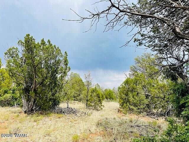 8418 Haven Crest Dr Happy Jack, AZ 86024 - Thumbnail 5