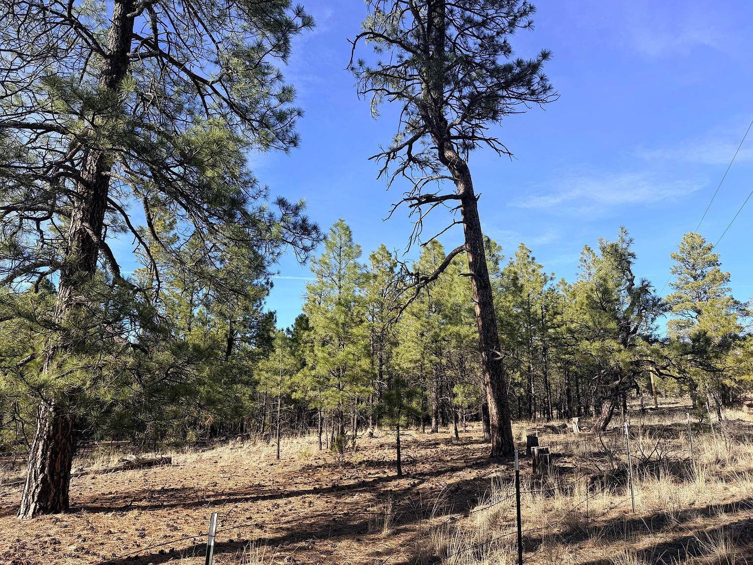 2397 Wigeon Way Happy Jack, AZ 86024 - Thumbnail 5