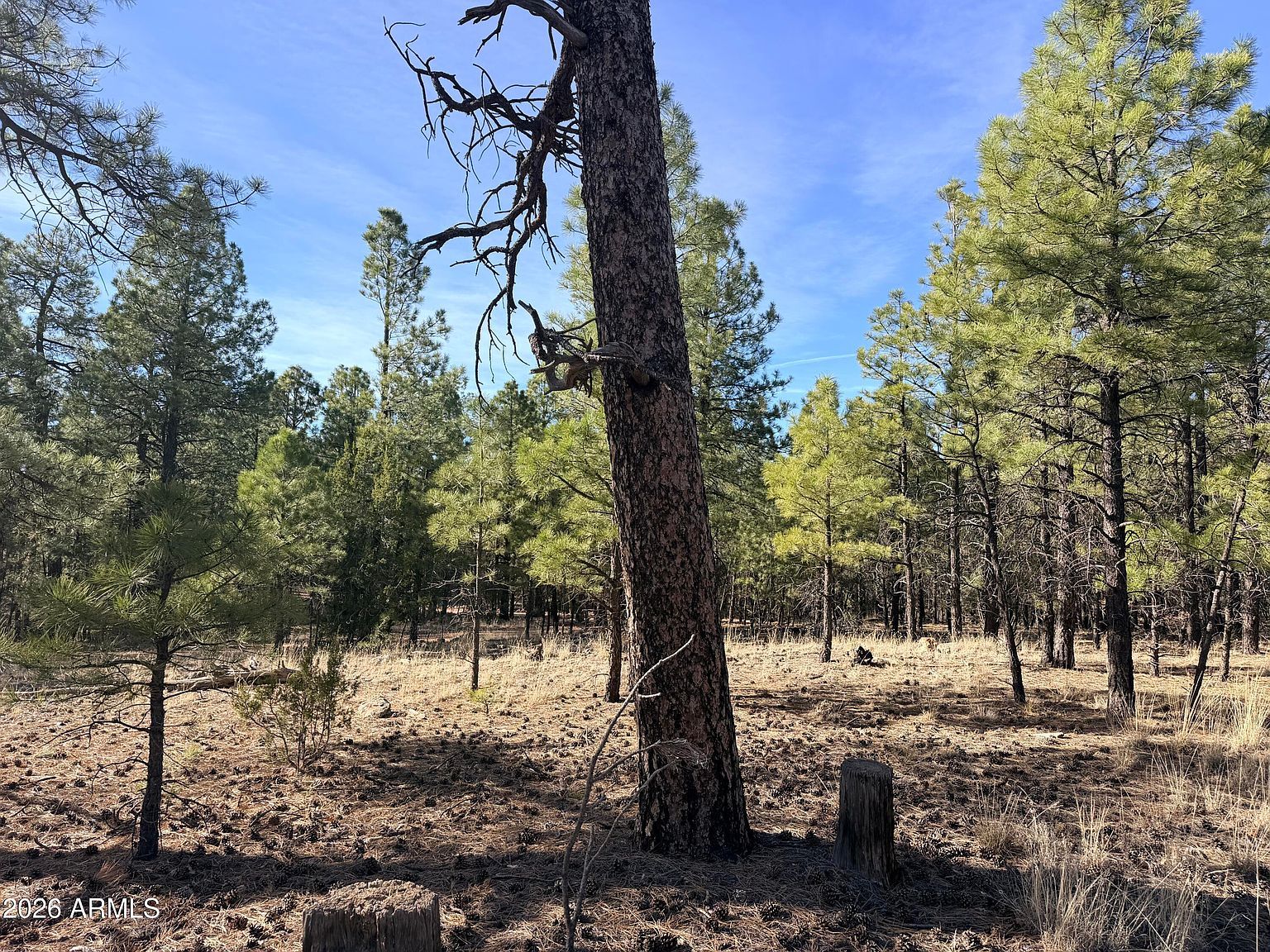 2397 Wigeon Way #6 Happy Jack, AZ 86024 - Thumbnail 5