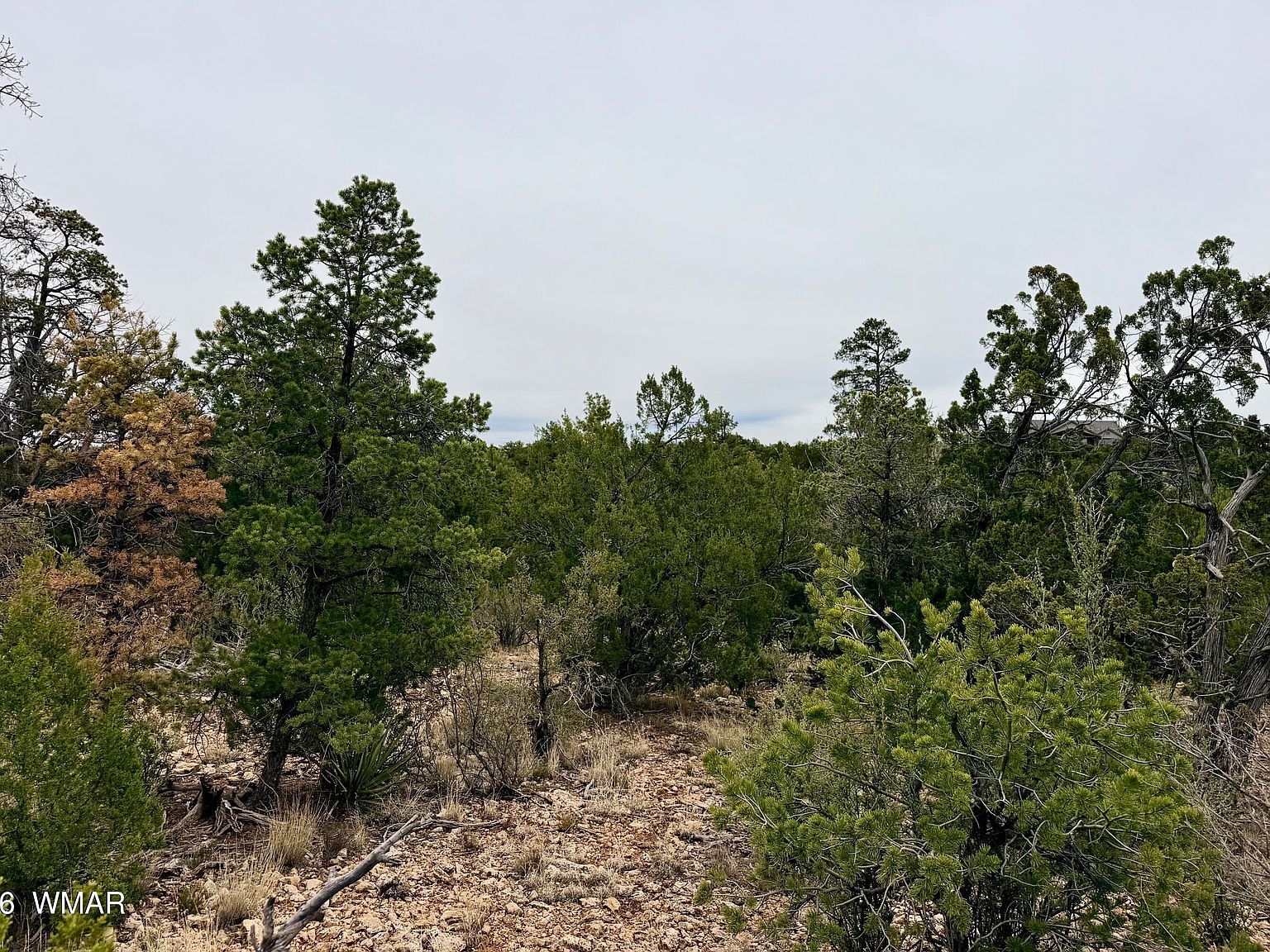 4918 Sunset Ridge Loop Happy Jack, AZ 86024 - Thumbnail 5