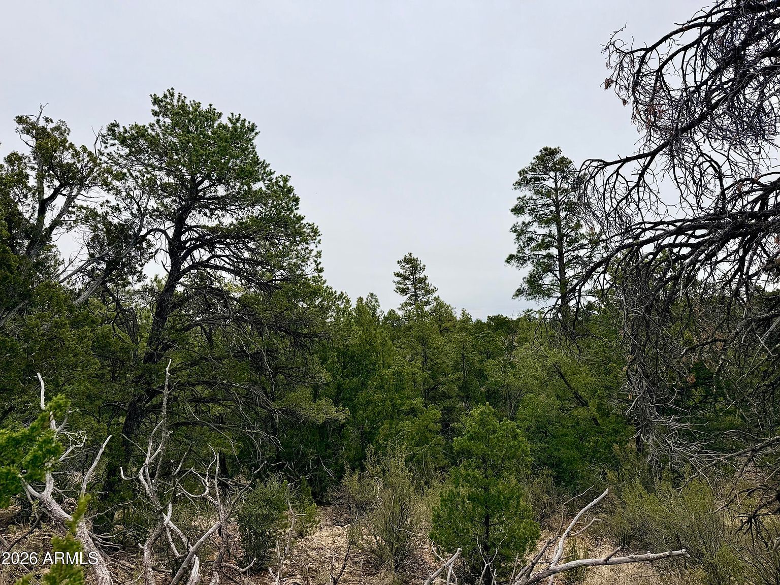 4918 Sunset Ridge Loop Lot 199 Happy Jack, AZ 86024 - Thumbnail 5