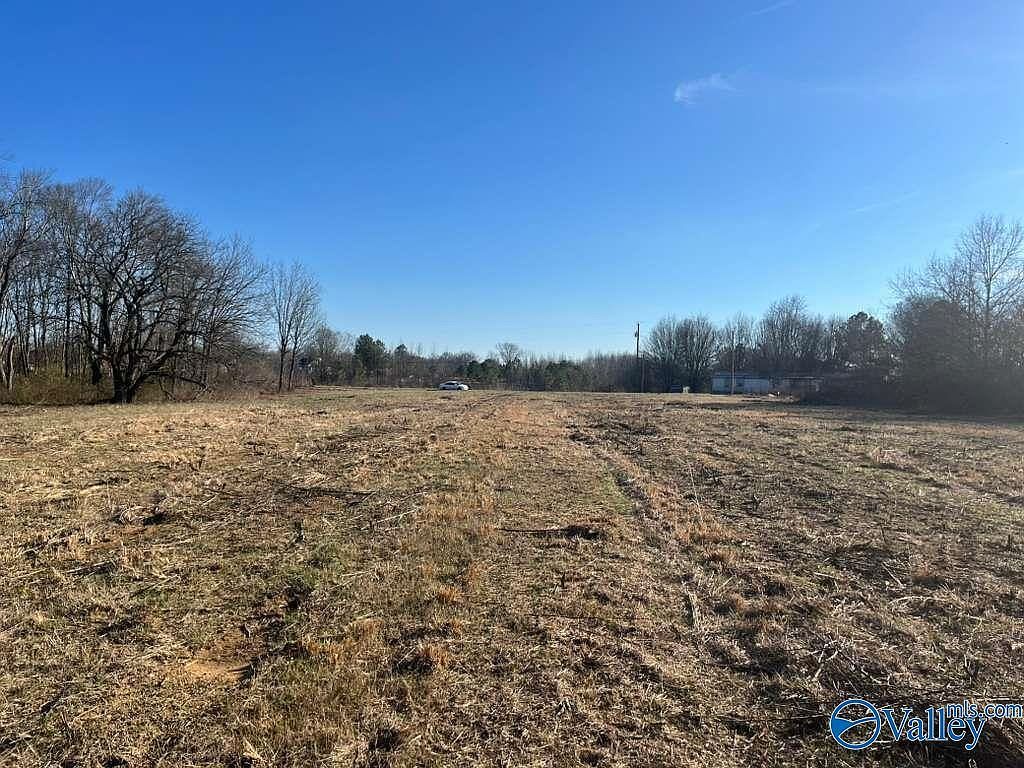 County Road 1597 Baileyton, AL 35019 - Thumbnail 5