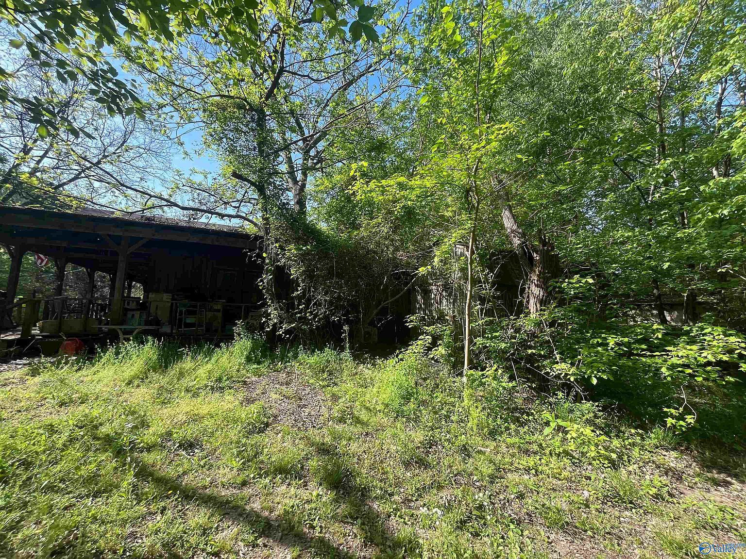 703 County Road 317 Trinity, AL 35673 - Thumbnail 5