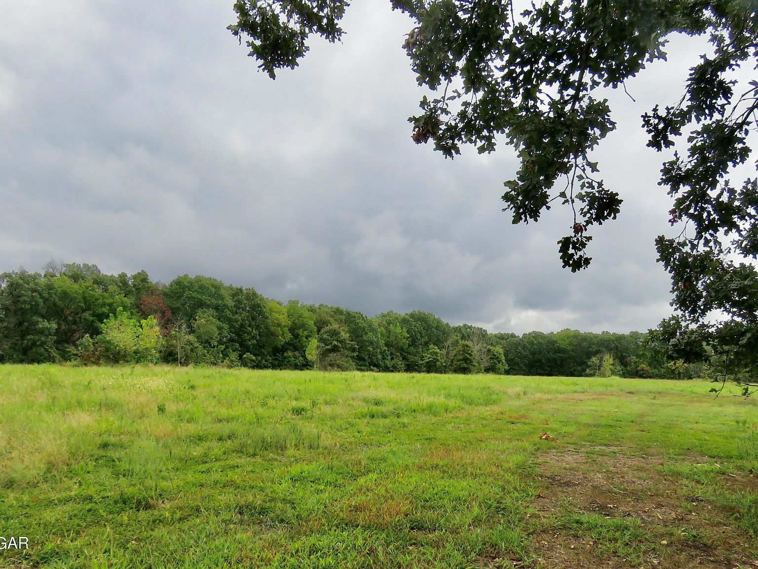 Woodland Dr Seneca, MO 64865 - Thumbnail 5