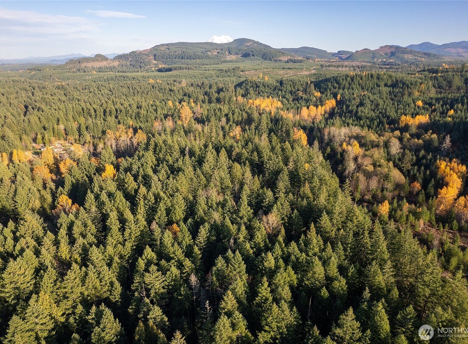 0 Bald Hills Rd SE Yelm, WA 98597 - Thumbnail 5