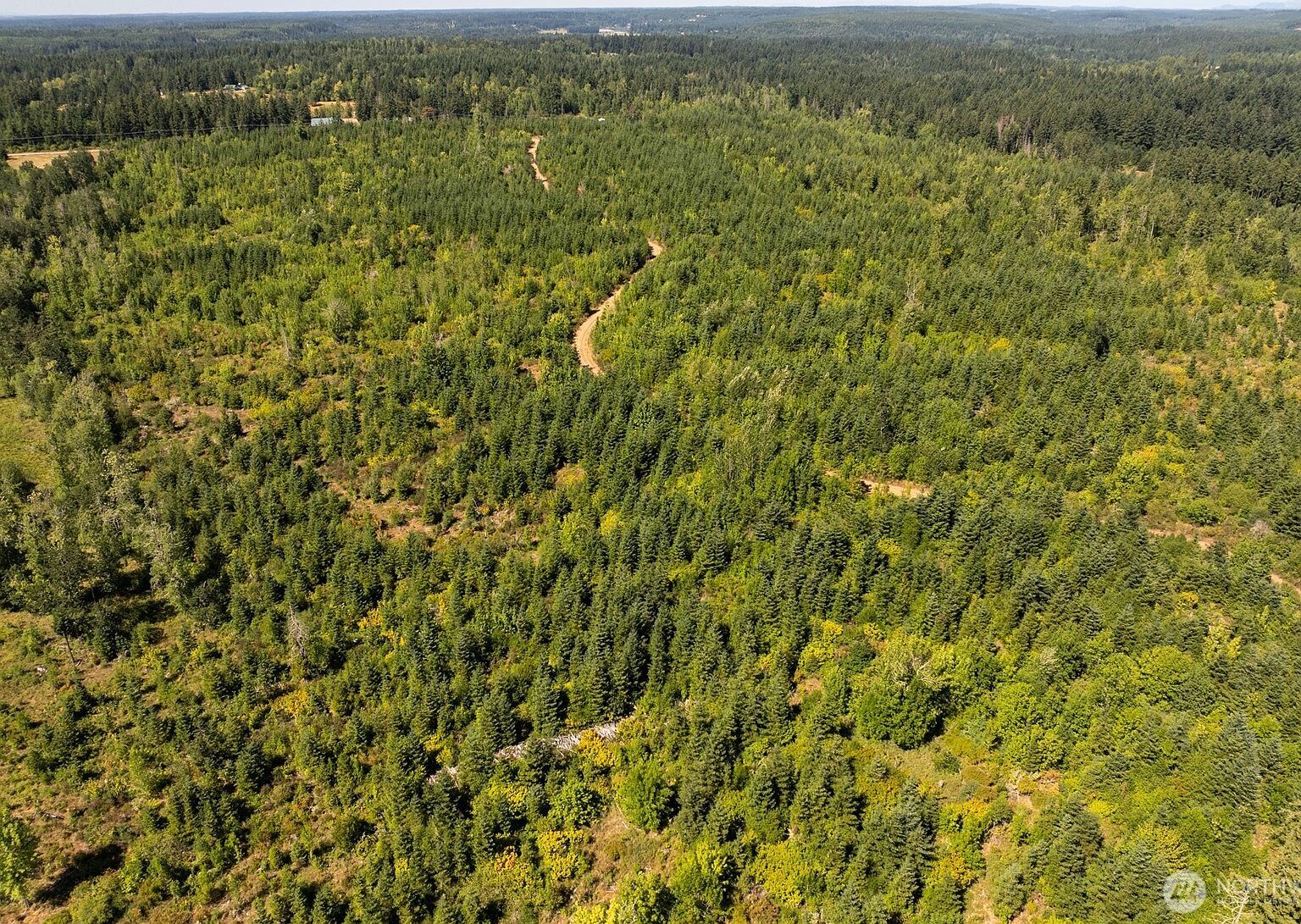 0 173rd Ave SE Yelm, WA 98597 - Thumbnail 5