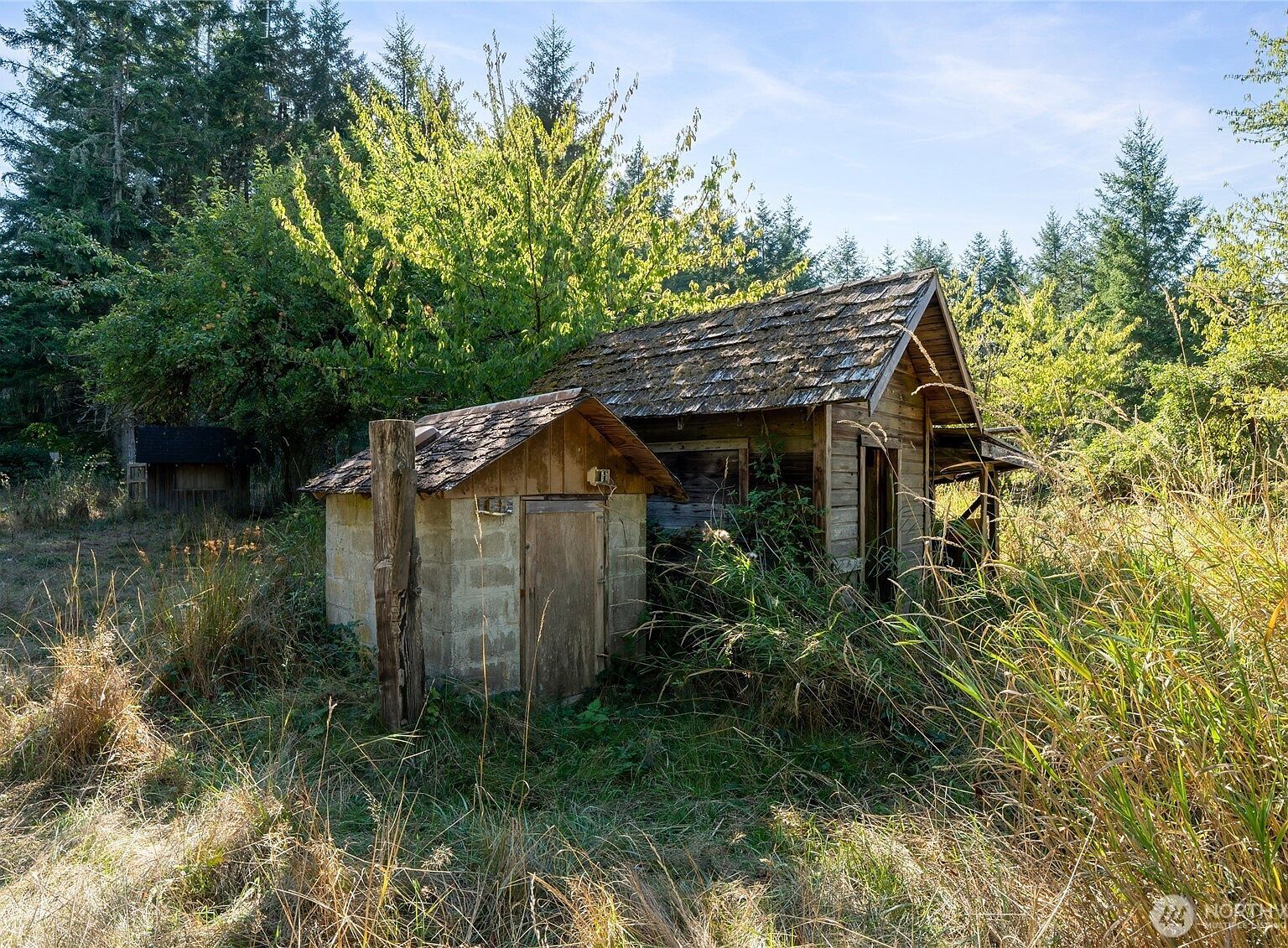 36716 Eatonville Cutoff Rd E Eatonville, WA 98328 - Thumbnail 5