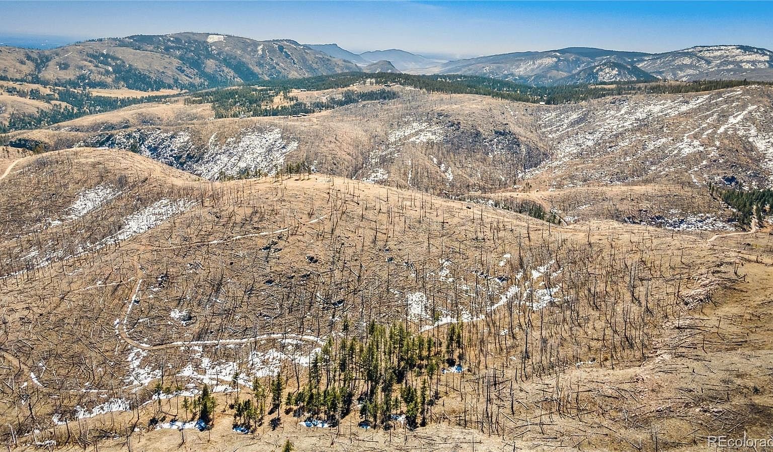 Rist Creek Rd Bellvue, CO 80512 - Thumbnail 5