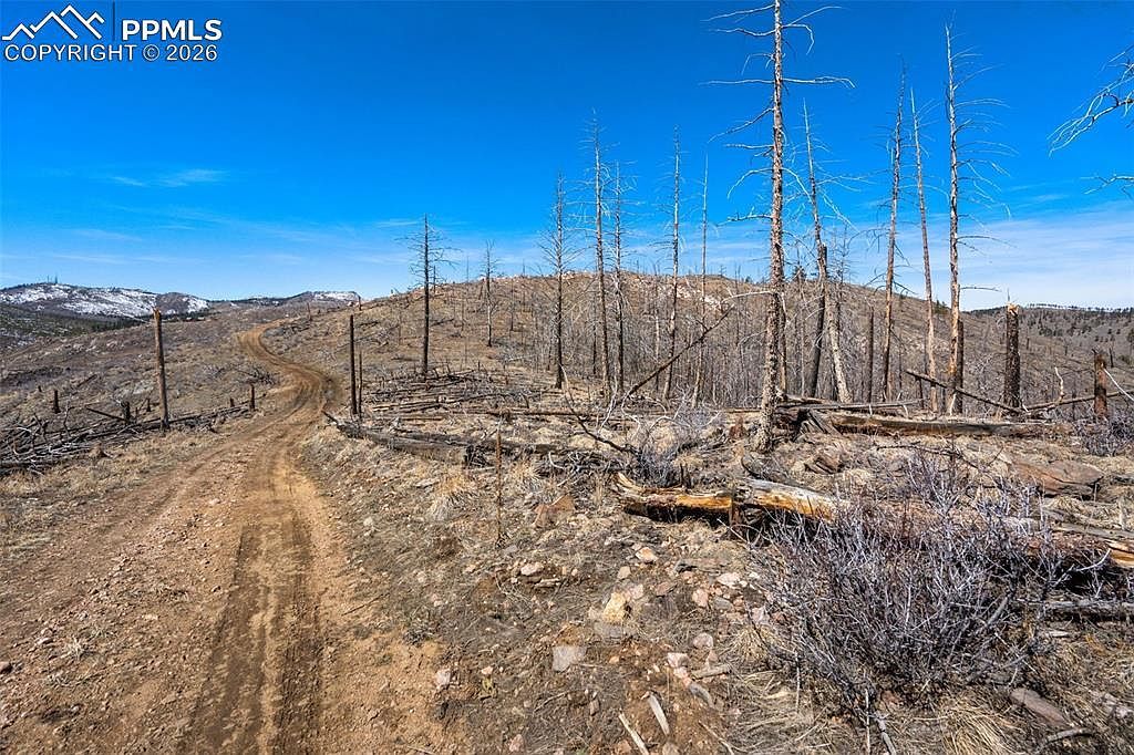 0 Rist Creek Rd Bellvue, CO 80512 - Thumbnail 5