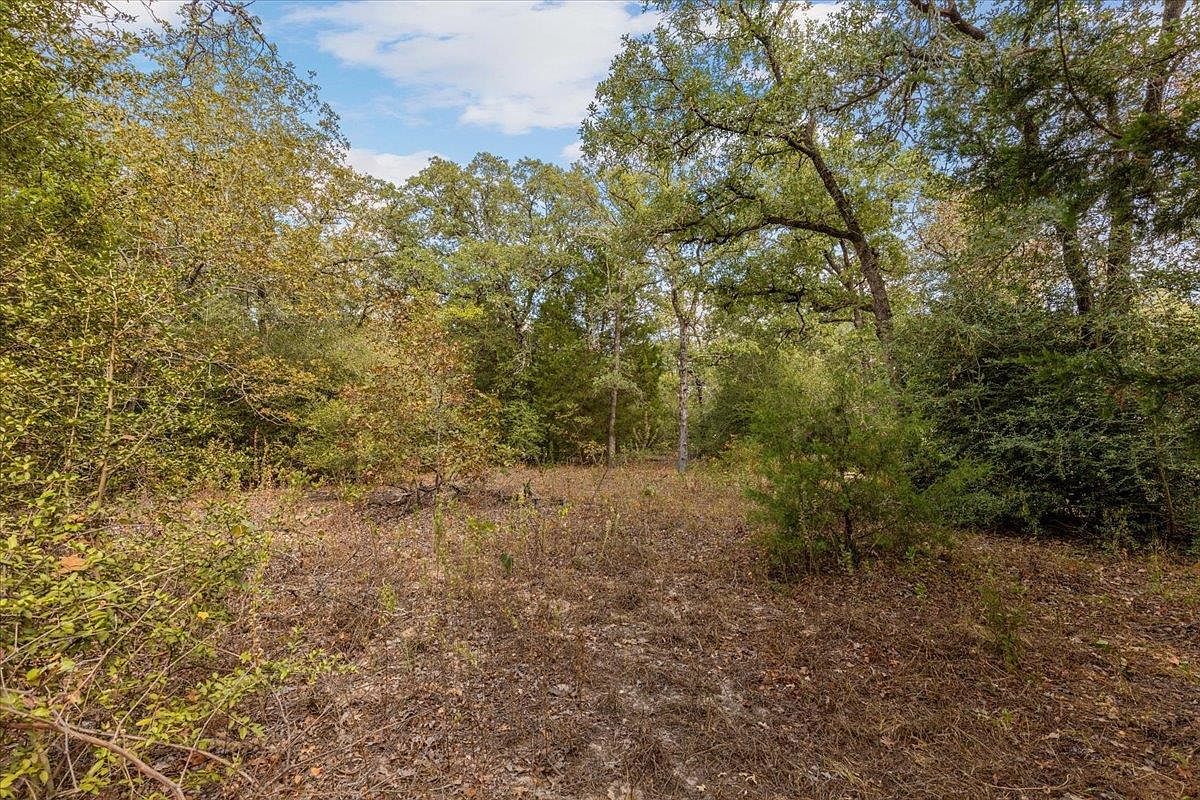 120 Twin Oaks Rd Elgin, TX 78621 - Thumbnail 5