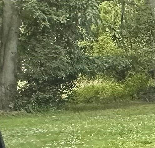 0 James Ave Monroeville, PA 15146 - Thumbnail 5