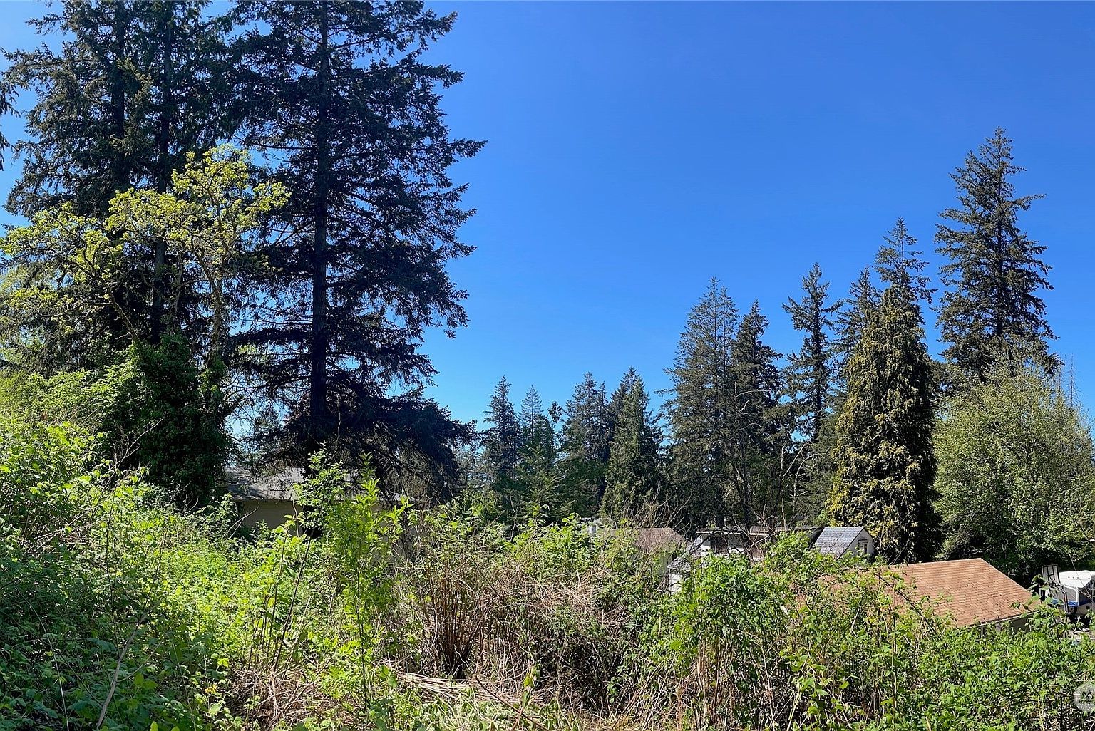 0 Edgewood Ave SW Lakewood, WA 98498 - Thumbnail 5