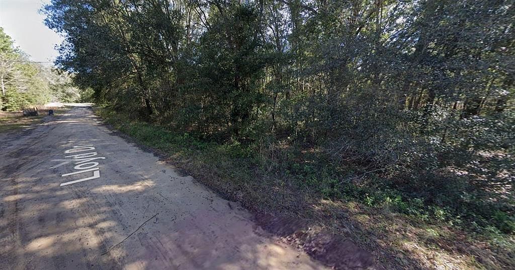 Lloyd Dr #36 Interlachen, FL 32148 - Thumbnail 5