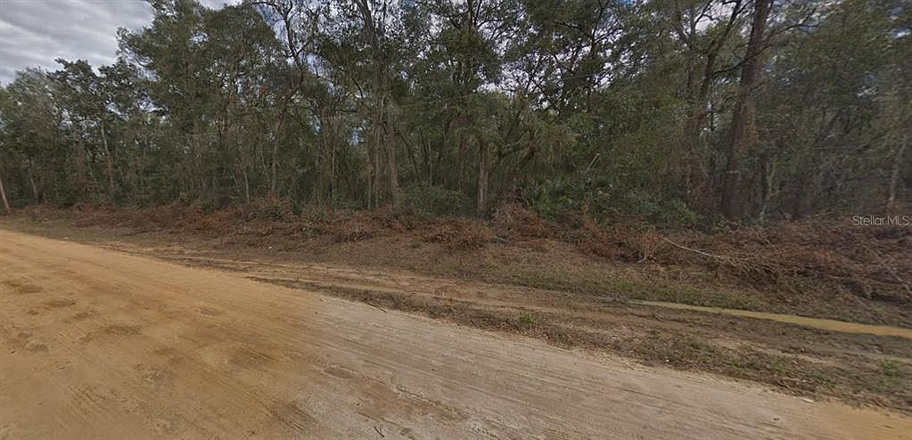 0 Walker Dr #20 Interlachen, FL 32148 - Thumbnail 5