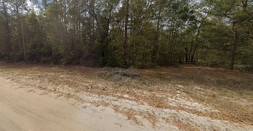 Guy Avenue Lot #24 Interlachen, FL 32148 - Thumbnail 5