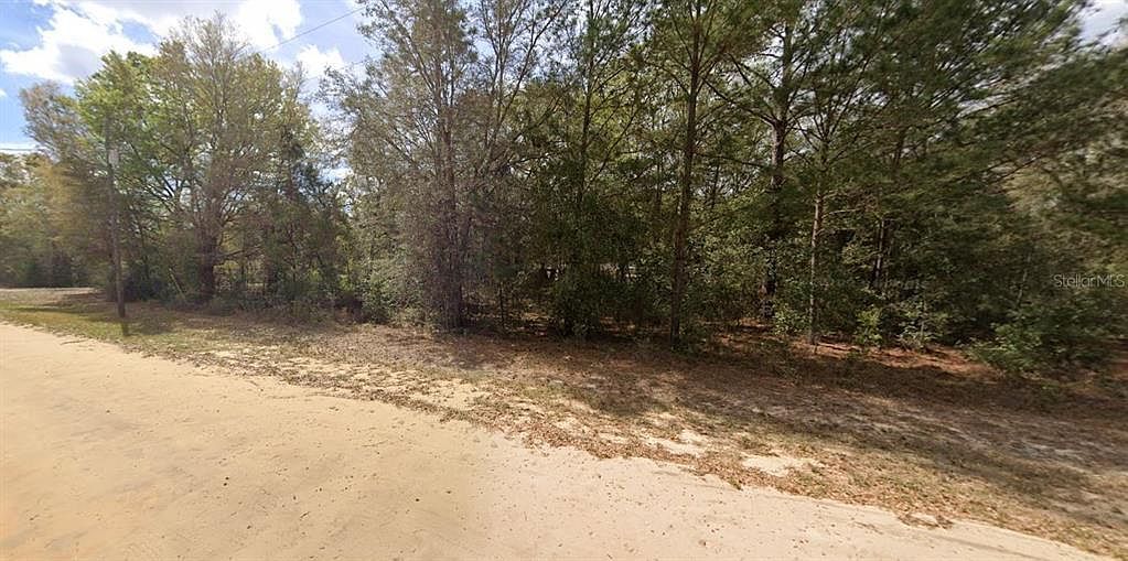 Lenore Avenue Lot #21 Interlachen, FL 32148 - Thumbnail 5