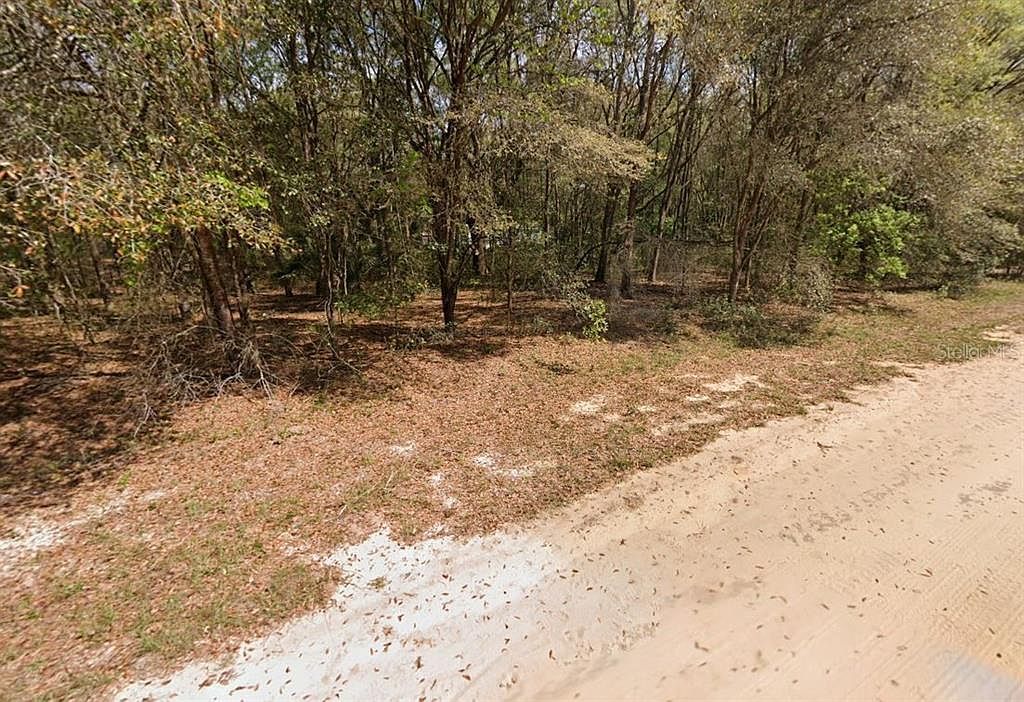Annette Avenue Lot #14 Interlachen, FL 32148 - Thumbnail 5