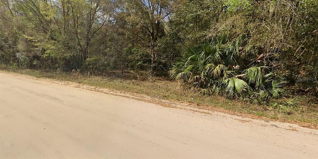 Annette Avenue Lot #35 Interlachen, FL 32148 - Thumbnail 5