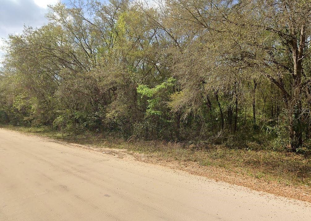 Annette Avenue Lot #33 Interlachen, FL 32148 - Thumbnail 5