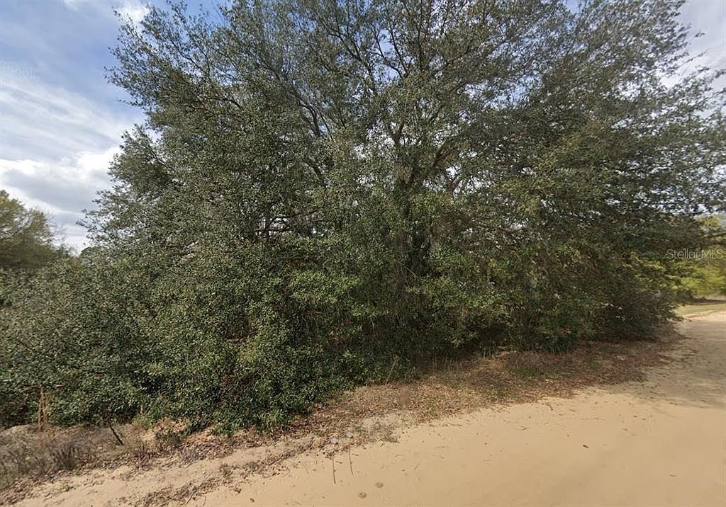 821 Kitty Ave #15 Interlachen, FL 32148 - Thumbnail 5