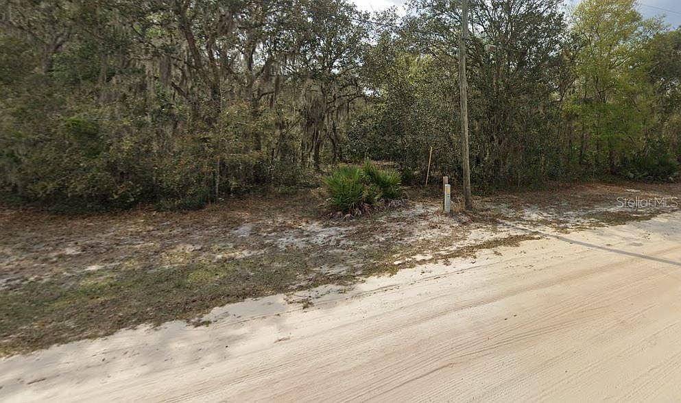 Violet Cir #5 Interlachen, FL 32148 - Thumbnail 5