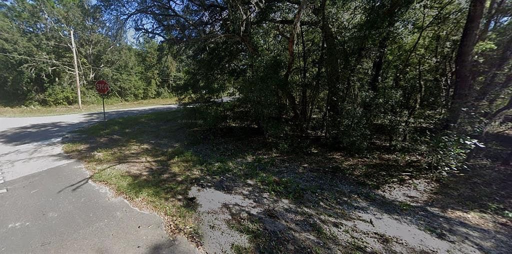 0 Annette Ave #1 Interlachen, FL 32148 - Thumbnail 5