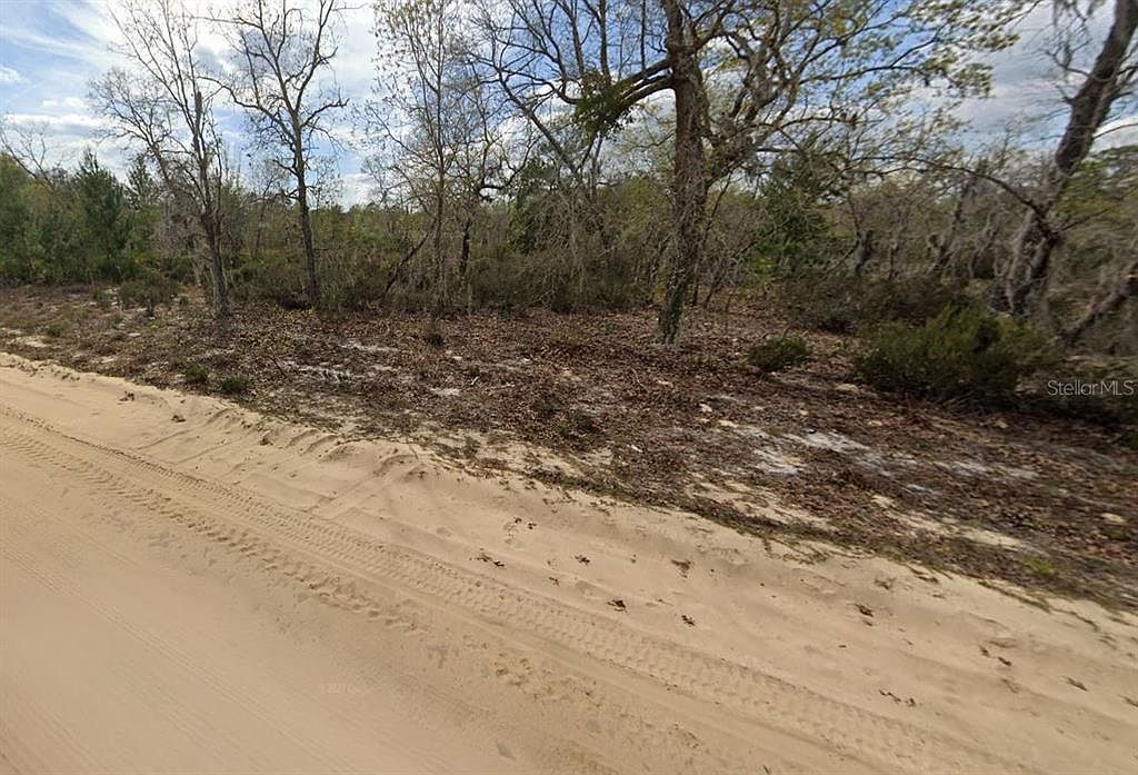 0 April Ave #26 Interlachen, FL 32148 - Thumbnail 5