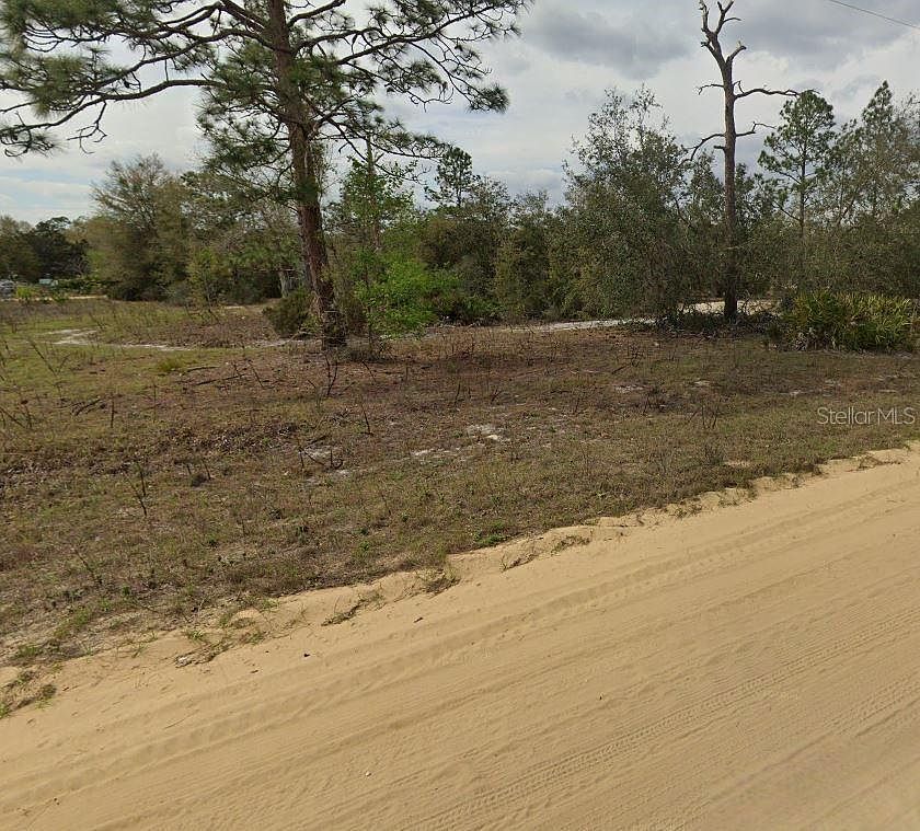 0 Maltas Ave #34 Interlachen, FL 32148 - Thumbnail 5