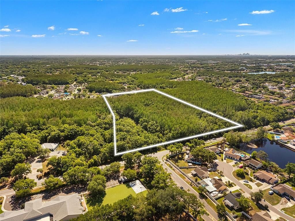 12591 Henderson Rd Tampa, FL 33625 - Thumbnail 5