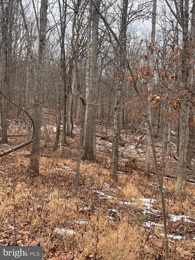 Hummingbird Ln Star Tannery, VA 22654 - Thumbnail 5