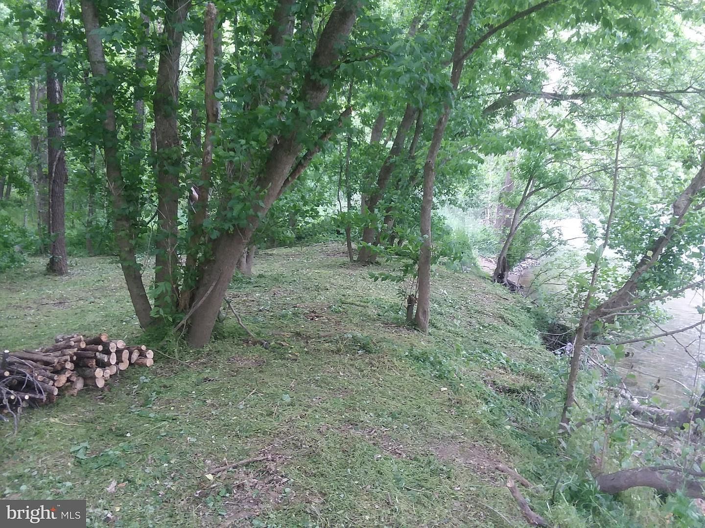 Bear Paw Maurertown, VA 22644 - Thumbnail 5