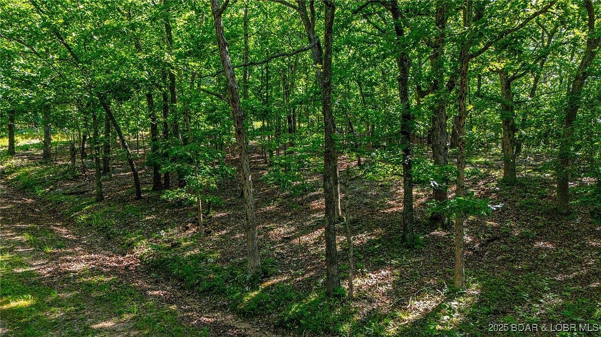 1169-1143 Elliott Pl Edwards, MO 65326 - Thumbnail 5