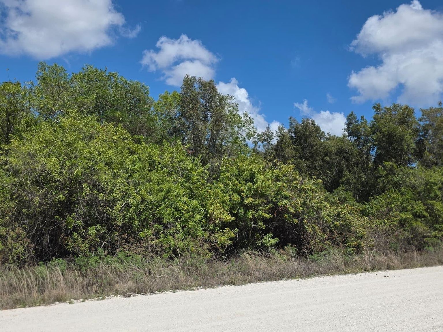 0 86th Rd N West Palm Beach, FL 33412 - Thumbnail 5