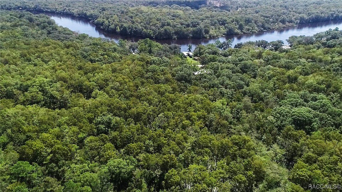 104 NE 304th Ave Old Town, FL 32680 - Thumbnail 5