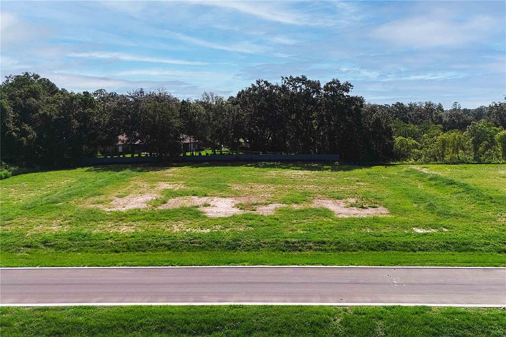 19319 Dimple Dr Lot 8 Odessa, FL 33556 - Thumbnail 5