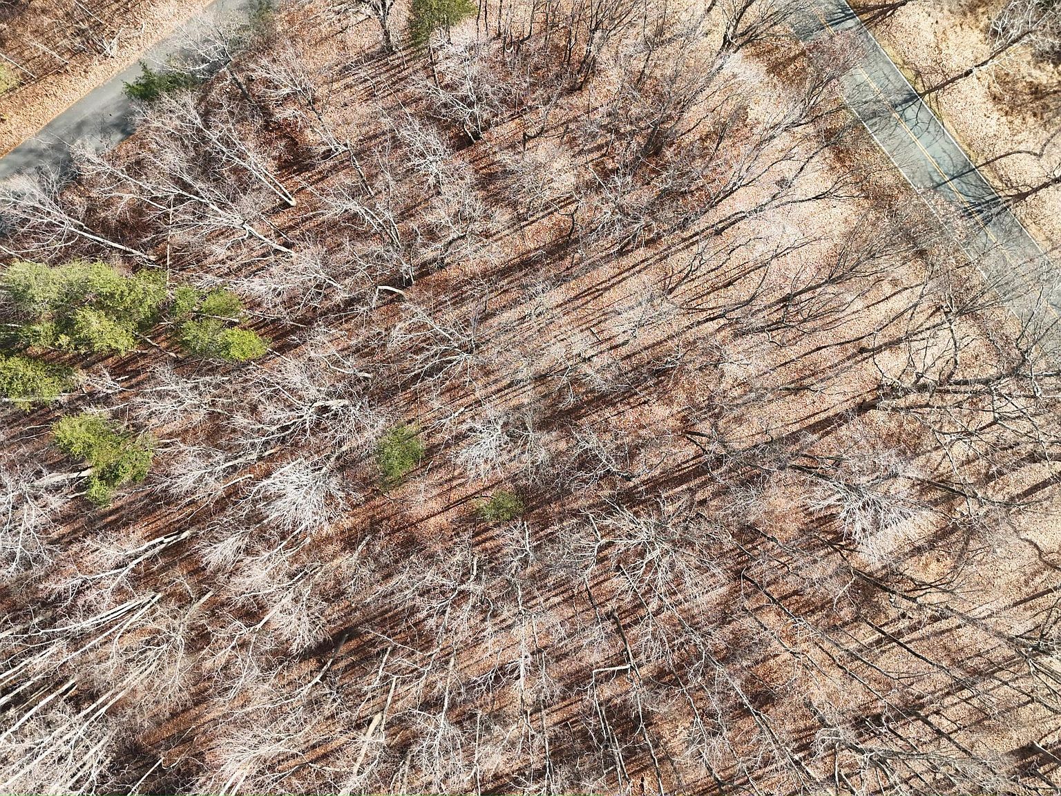 LOT 10 Binnacle Dr Moneta, VA 24121 - Thumbnail 5