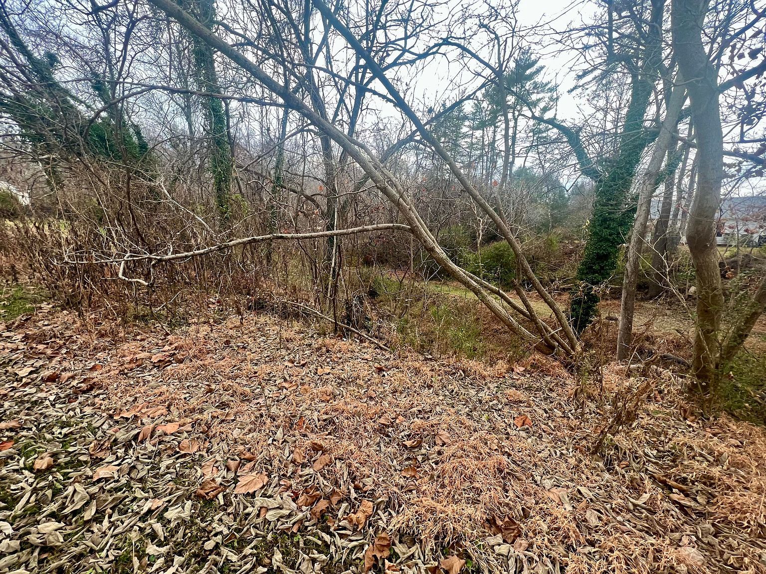 808 S Main St #0 Rocky Mount, VA 24151 - Thumbnail 5