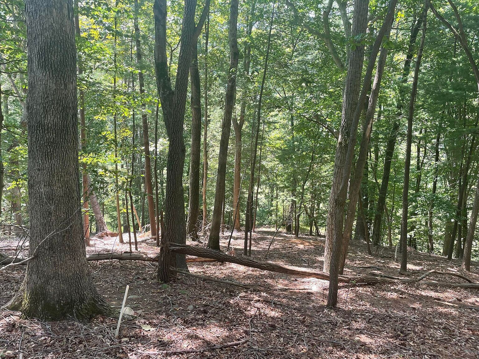 LOT 24 River Rock Rd Vinton, VA 24179 - Thumbnail 5