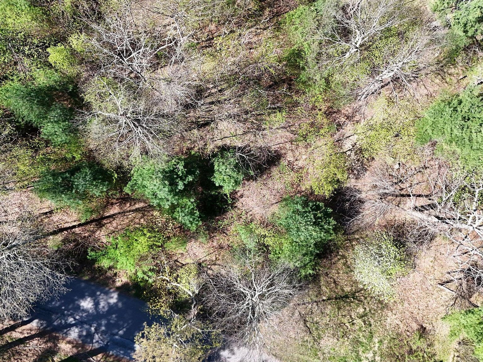 0 Ivy Ridge Rd Bent Mountain, VA 24059 - Thumbnail 5