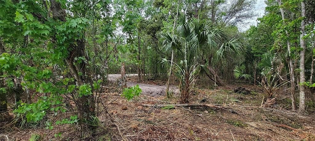 0 N Poinciana Blvd Lot 4 Kissimmee, FL 34746 - Thumbnail 5