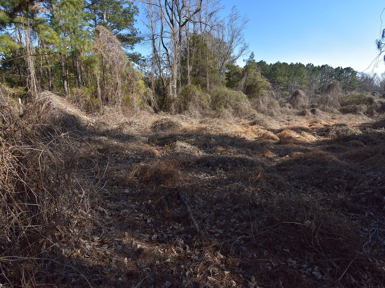 816 Mitchell Ave Lot 312 Franklinton, NC 27525 - Thumbnail 5