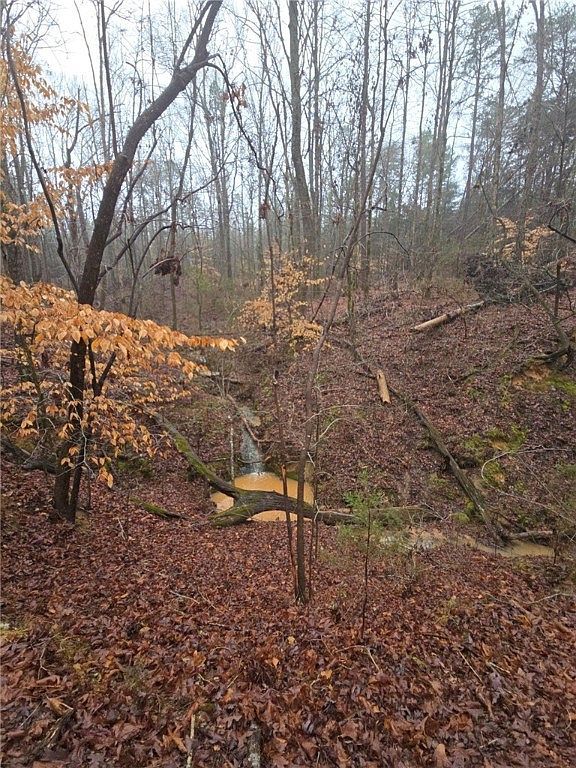 1206 Cheeks Cir Gray Court, SC 29645 - Thumbnail 5