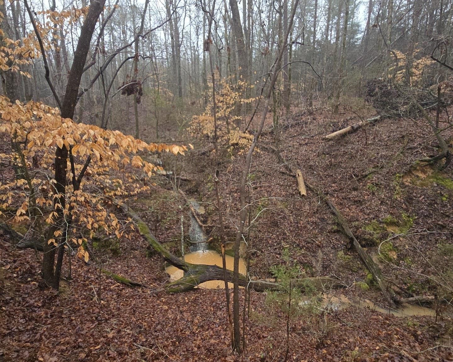 1206 Cheek Rd Gray Court, SC 29645 - Thumbnail 5