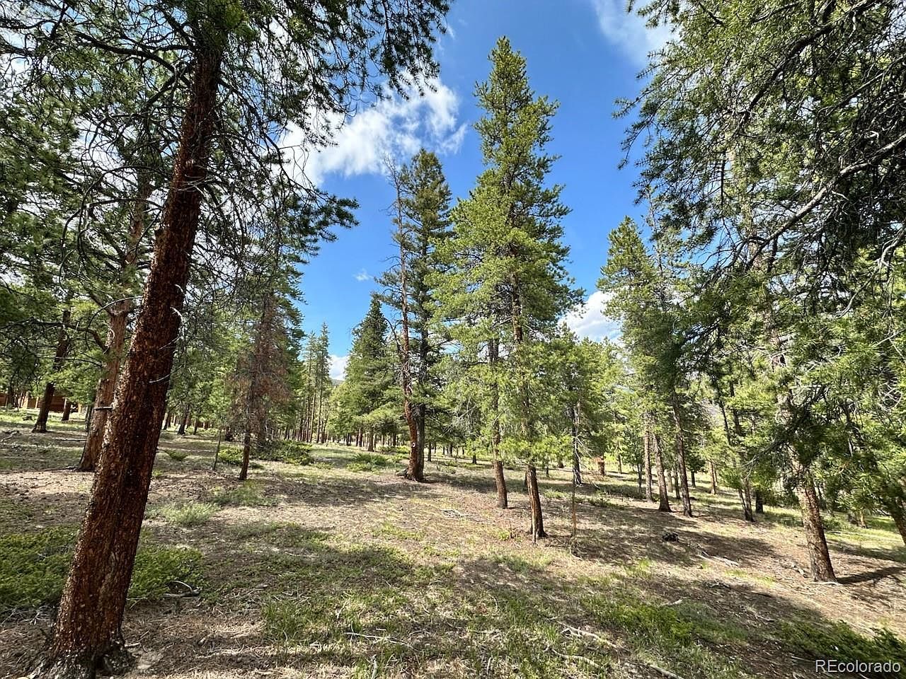 30385 National Forest Dr Buena Vista, CO 81211 - Thumbnail 5