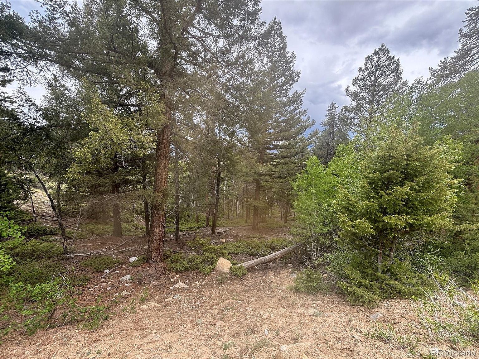 30304 Aspen Turn #13 Buena Vista, CO 81211 - Thumbnail 5