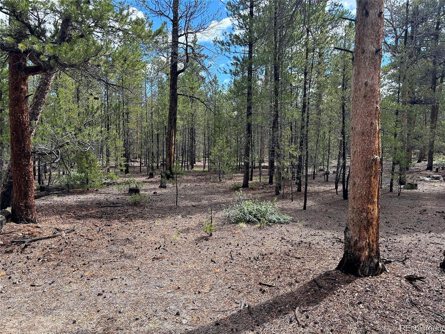 399 Fir Dr #124 Leadville, CO 80461 - Thumbnail 5