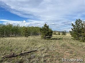 1599 Campfire Rd Lot 707 Hartsel, CO 80449 - Thumbnail 5